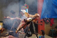 IMGP5657